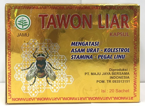 tawon liar.jpg