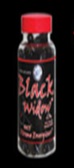 black widow.jpg