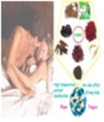 tcm capsules of natural plant extract to improve mans sexuality.jpg