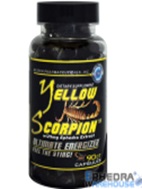 yellow scorpion.jpg