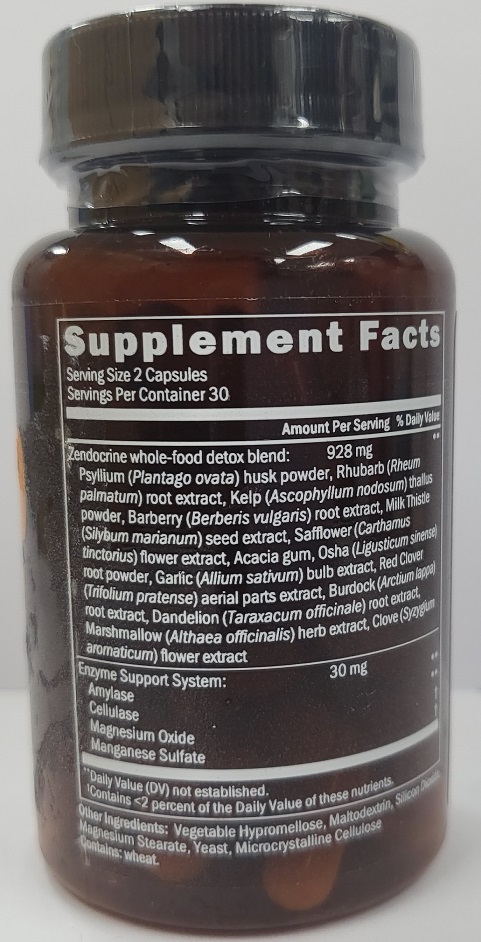 Zendocrine_2.jpg