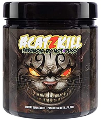 catzkill paranoia by not 4pussy.jpg