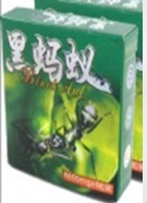 black ant.jpg