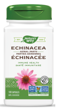 echinacea(echinacee).jpg