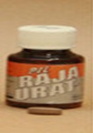 pil raja urat asli.jpg