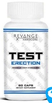test erection.jpg