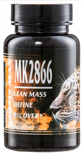 mk2866.jpg