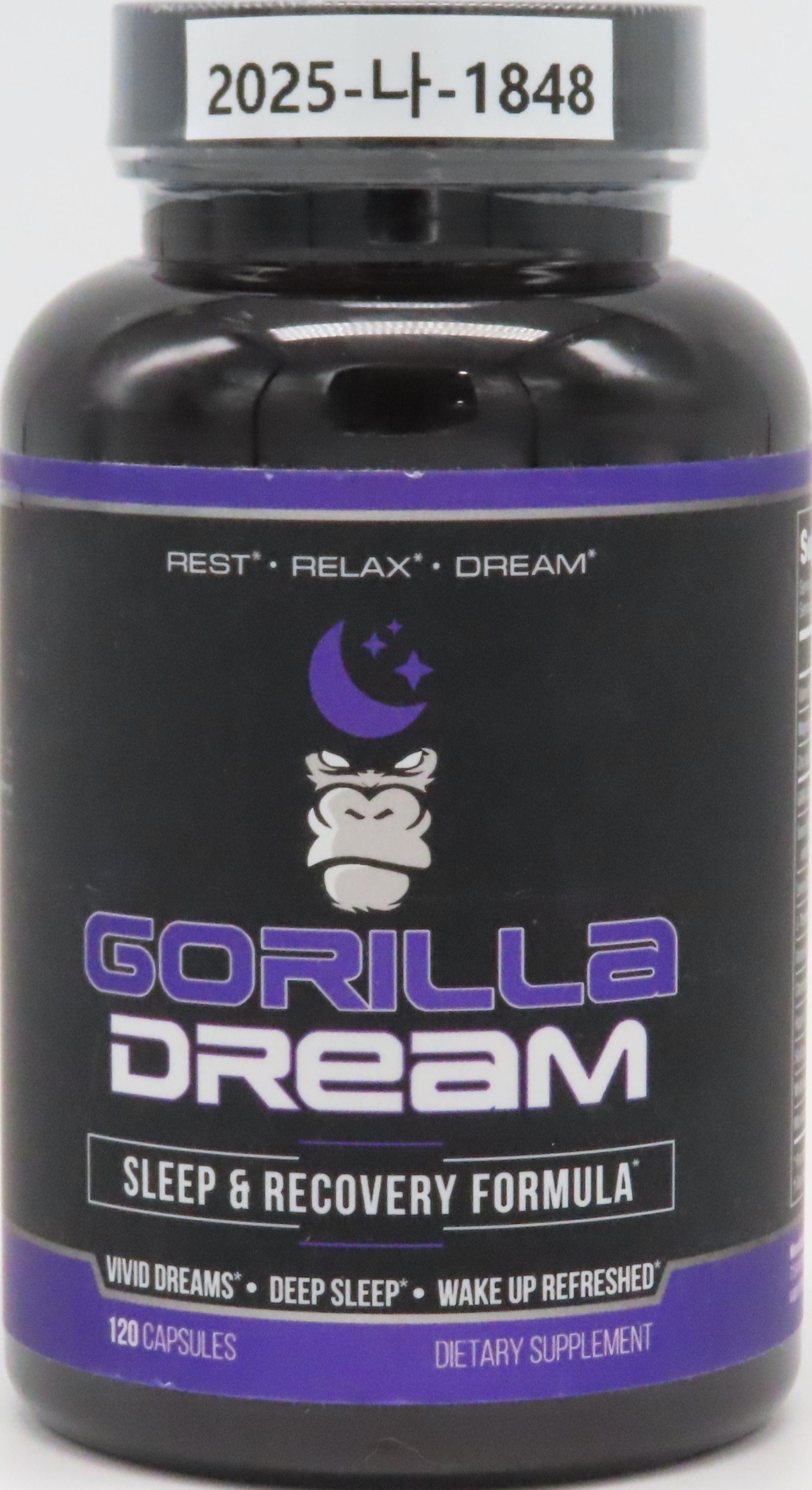 Gorilla Dream_1.jpg