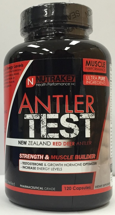 antler test.jpg