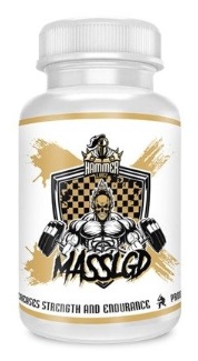massldg.jpg