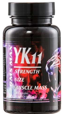 yk11.jpg
