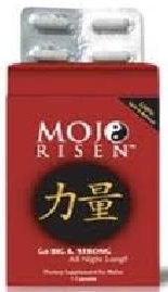 mojorisen(역량).jpg