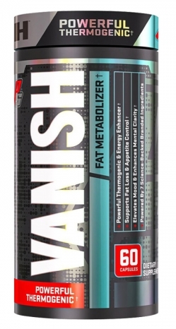 vanish_2.jpg