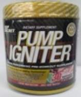 pump igniter.jpg
