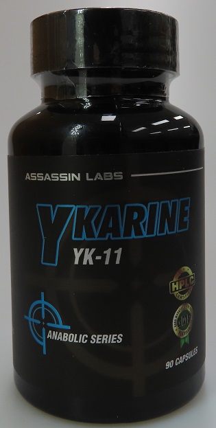 Ykarine YK-11_2.jpg