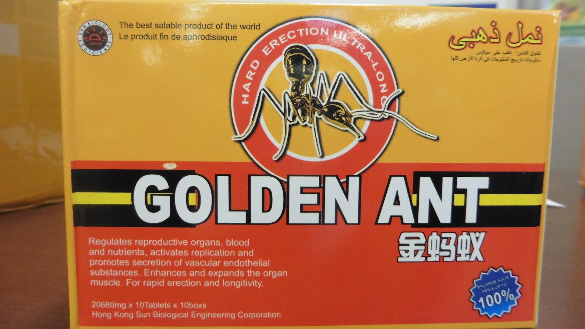 golden ant.jpg