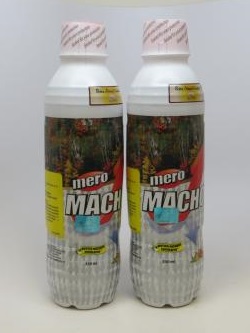 mero macho.jpg