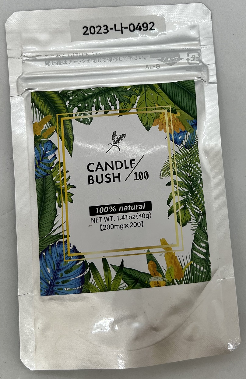 Candle Bush 100_1.jpg