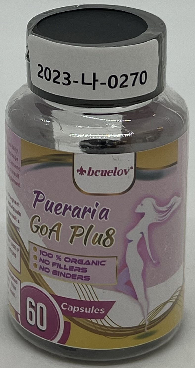 Pueraria GoA Plu8_1.jpg